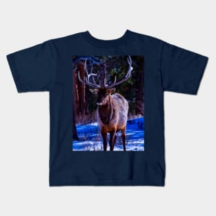elk cutie - rocky mountain national park Kids T-Shirt